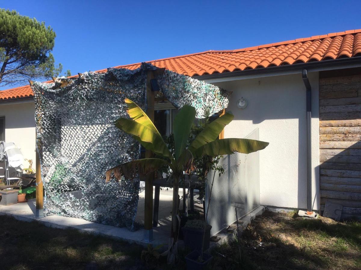 Vila L'Ostalada Sanguinet Exteriér fotografie